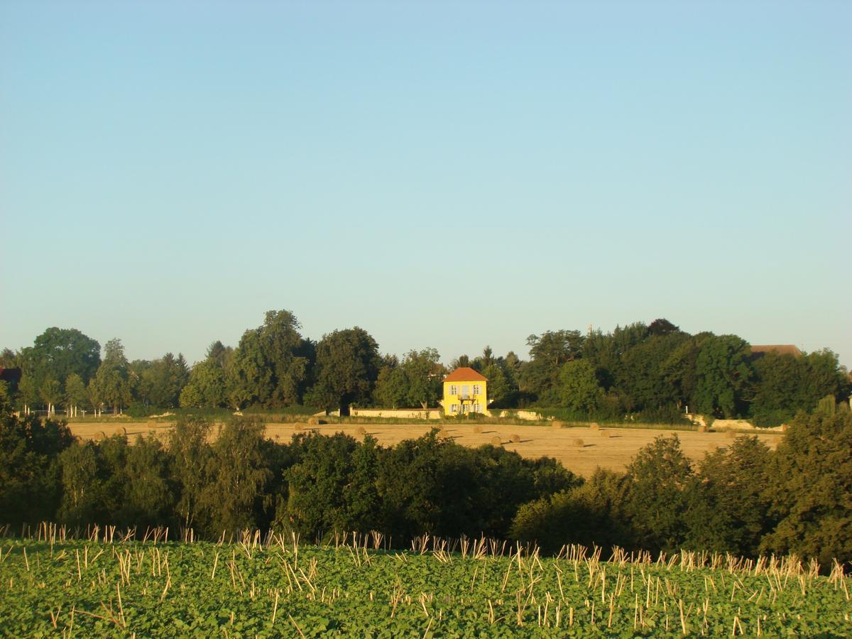 Ferienwohnung Toscana Dresden Dış mekan fotoğraf